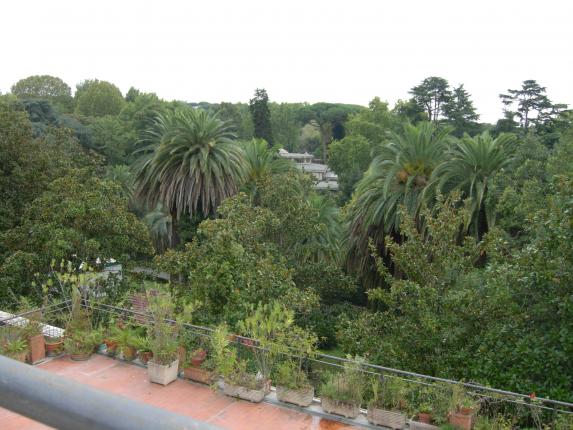 2012 Roma